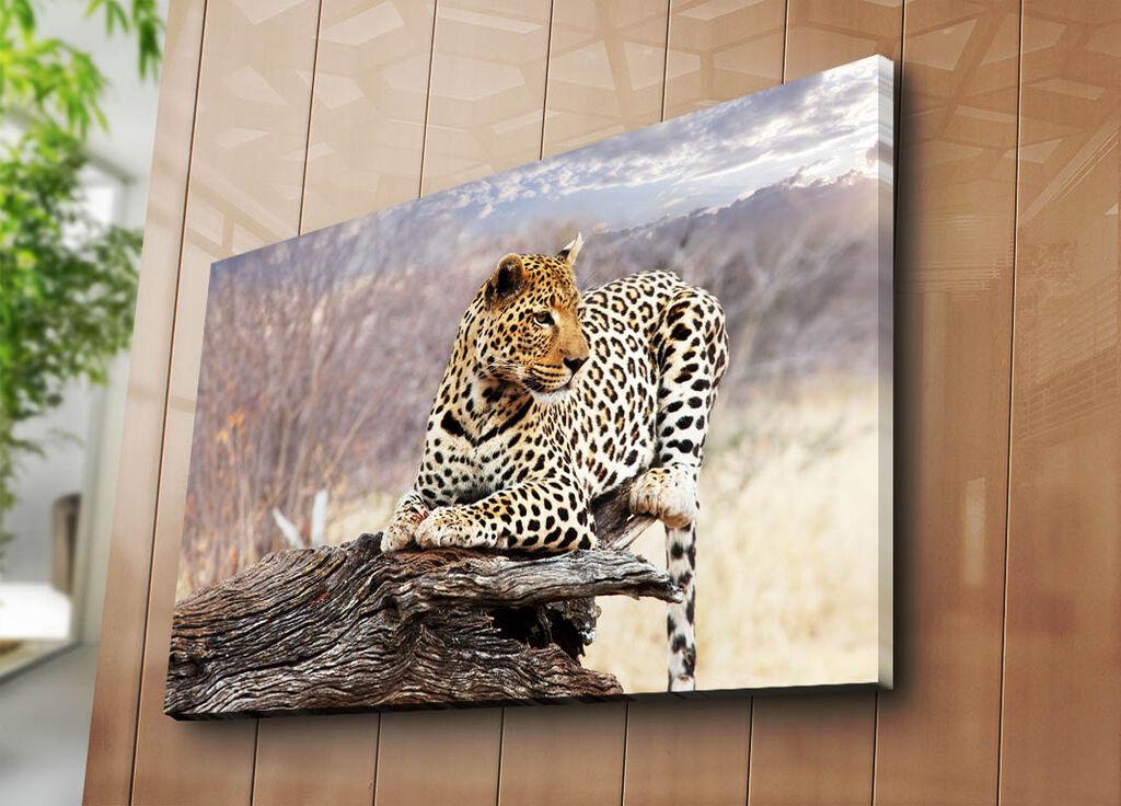 Wallity Декоративна слика на платно, 70x100 см, Шарена