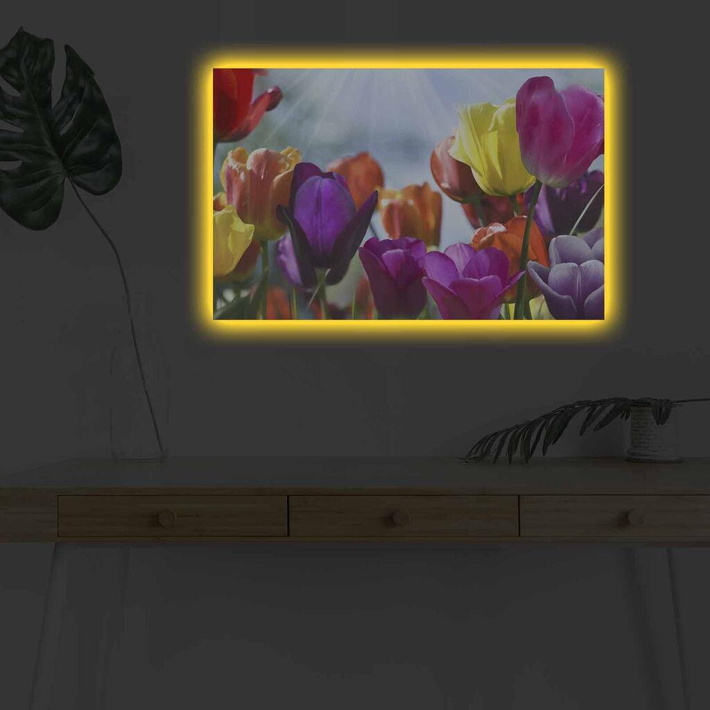 Wallity Слика BOYA-10, 45x45 cm