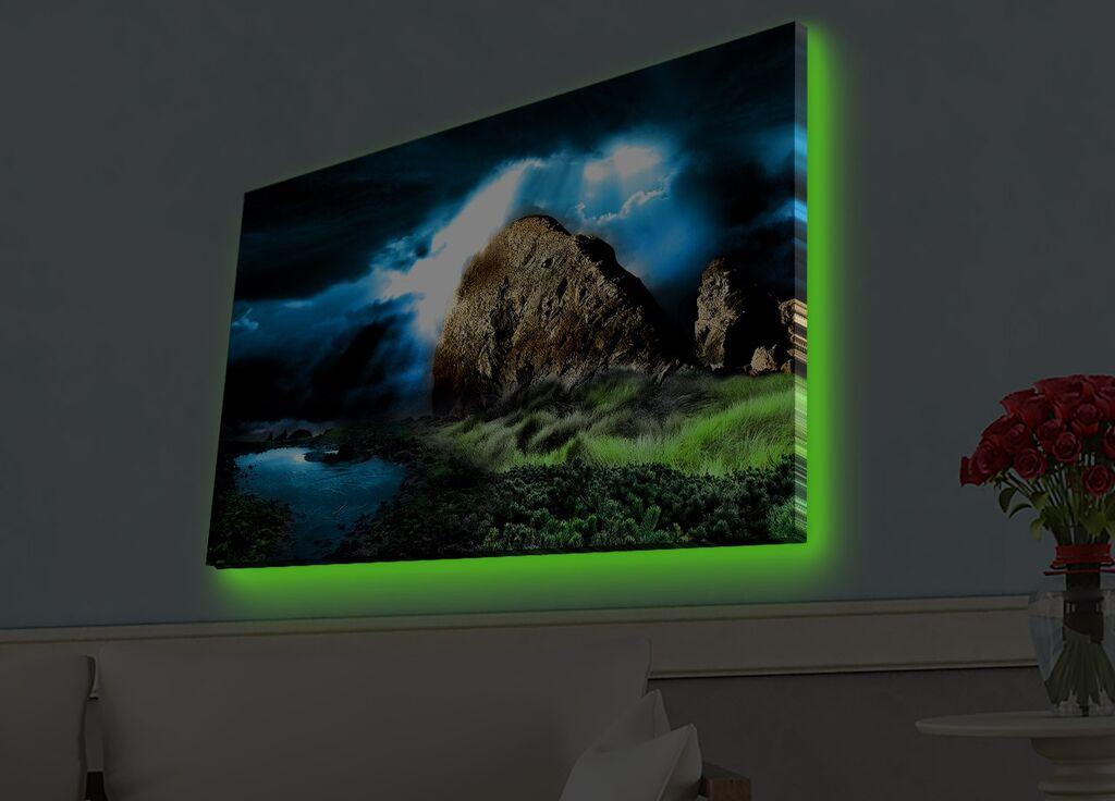 Wallity Слика со LED Осветлување Crazy Cat Love, 44x66 cm
