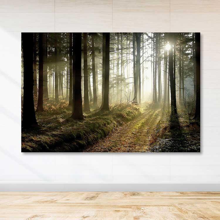Wallity Сет Слики MDF319432442, 3 Дела