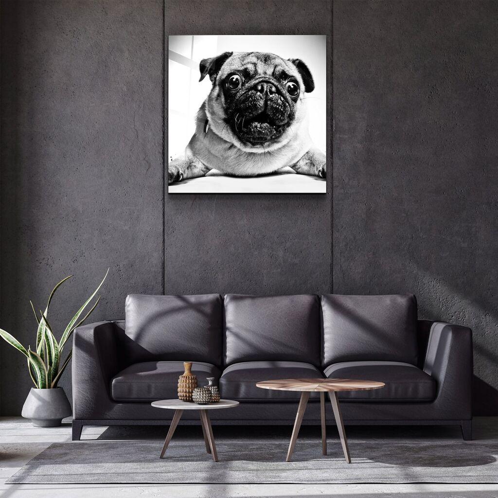 Wallity декоративна слика на калено стакло, 60x60, шарена