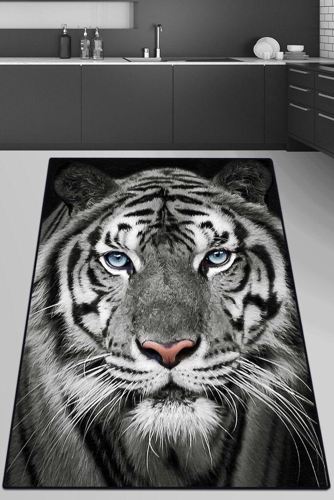 Conceptum Hypnose Тепих, 150x240cm, Шарен