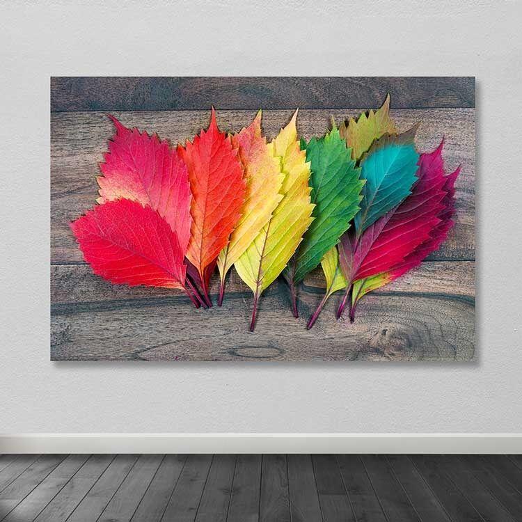 Wallity Слика KNV4547, 70x100 cm