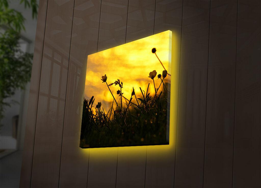 Wallity Слика 221JRS1352, 46x72 cm