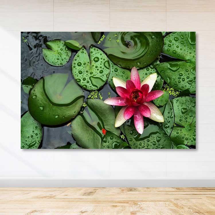 Wallity Сет Слики MDF311200037, 3 Дела