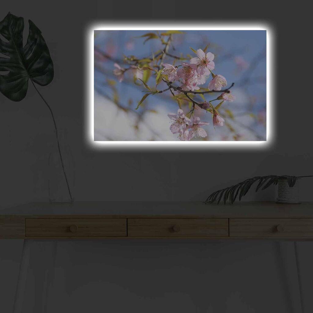 Wallity Слика BOYA-05, 45x45 cm