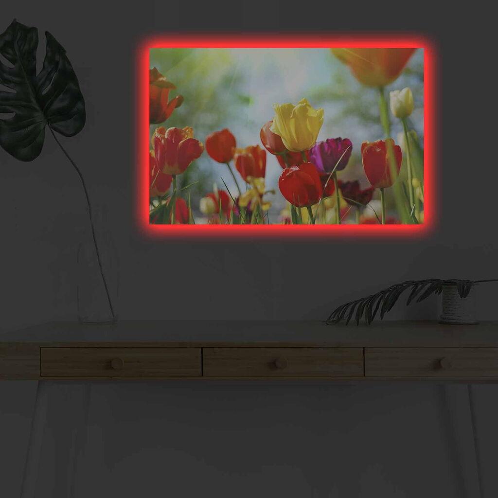 Wallity Слика BOYA-28, 45x45 cm