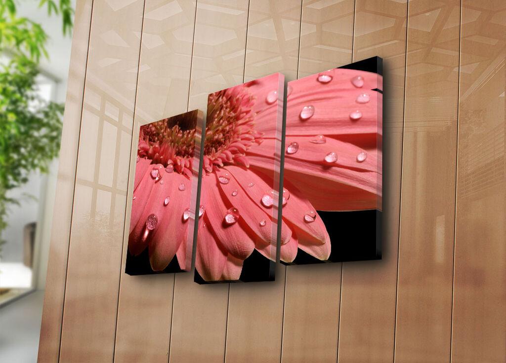Wallity Декоративни слики на платно, 45x20 см, 3 парчиња, шарени