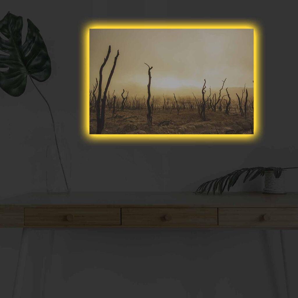 Wallity Слика BOYA-25, 45x45 cm