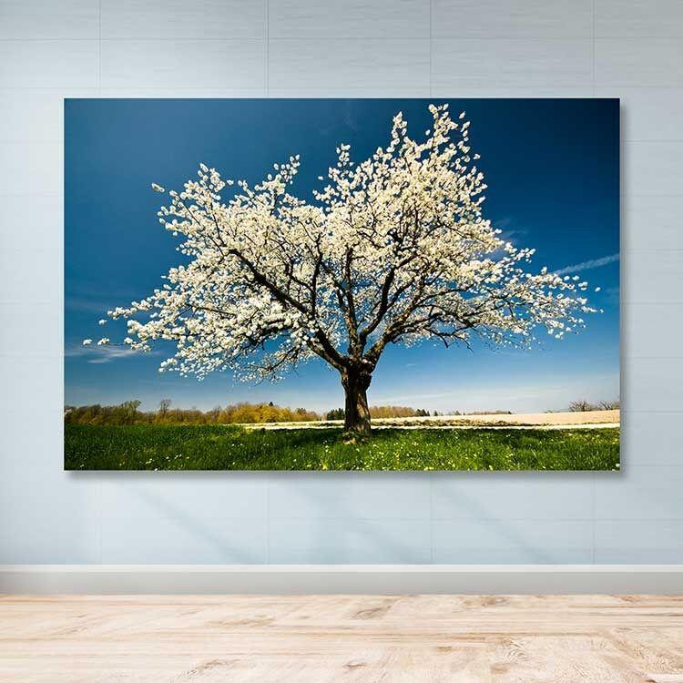 Wallity Слика KNV10101, 50x70 cm