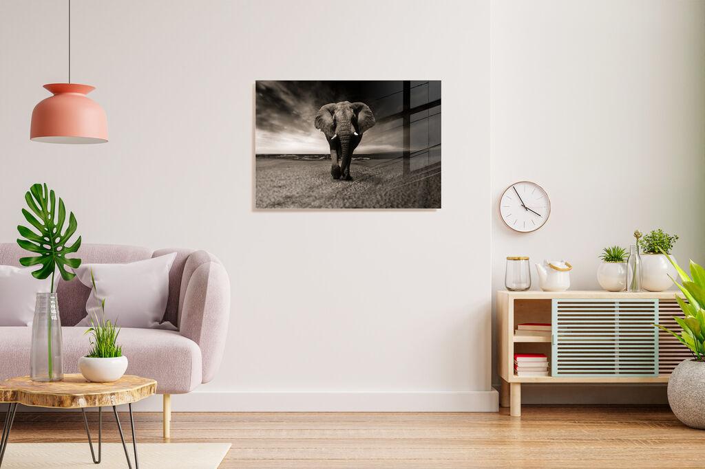 Декоративна слика Wallity на калено стакло, 30x45 см, шарена