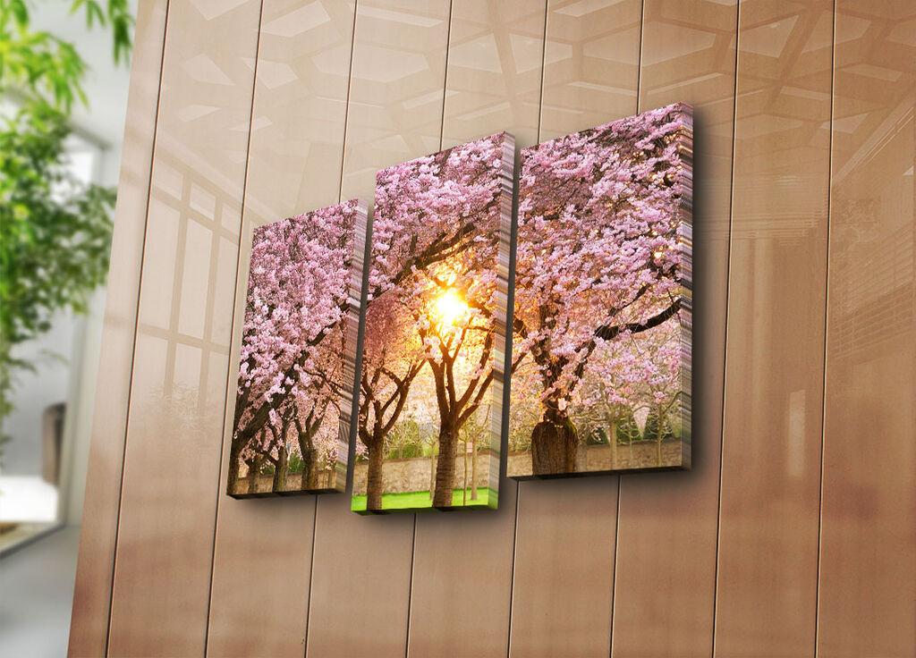 Wallity Декоративни слики на платно, 45x20 см, 3 парчиња, шарени