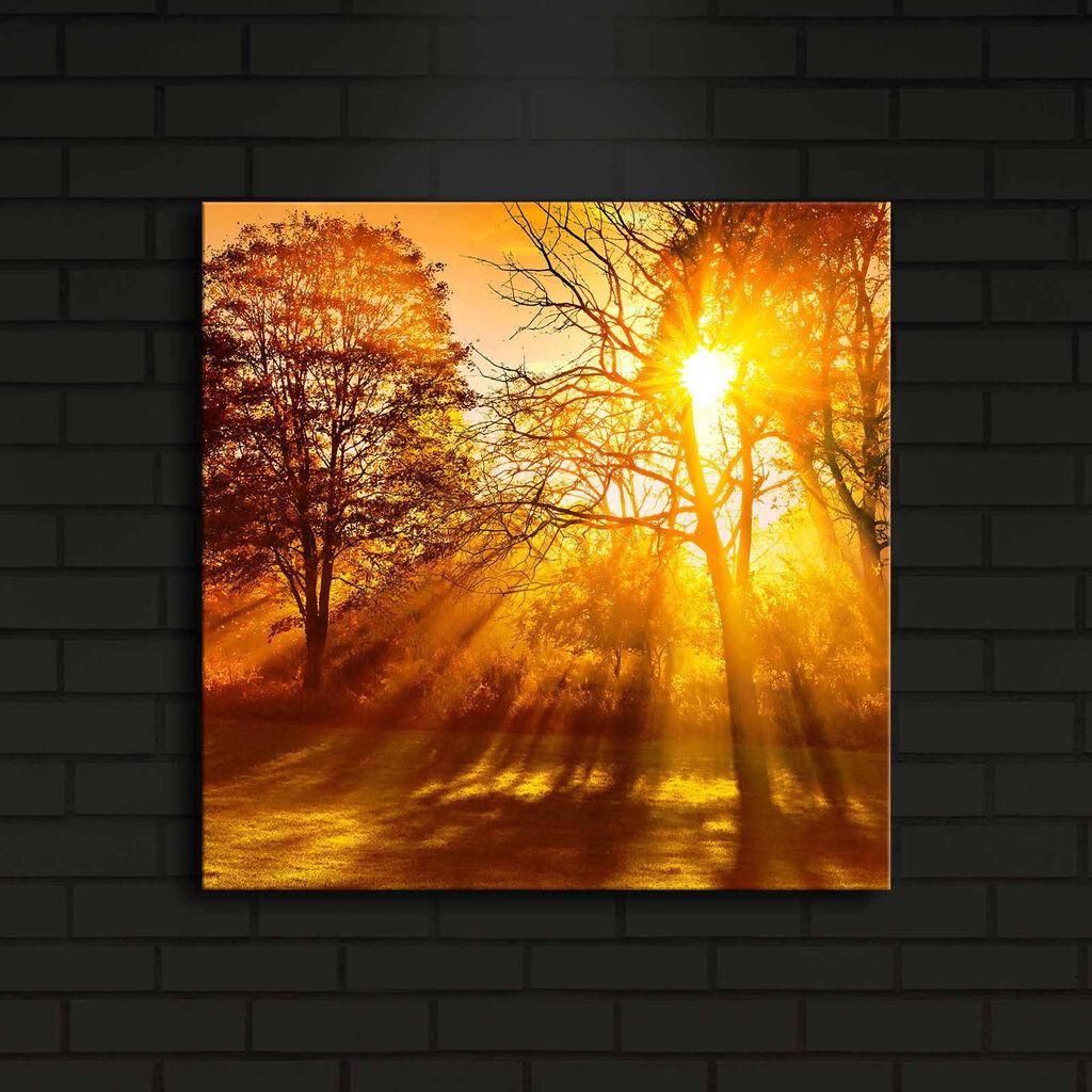 Wallity Слика 221JRS1358, 46x72 cm