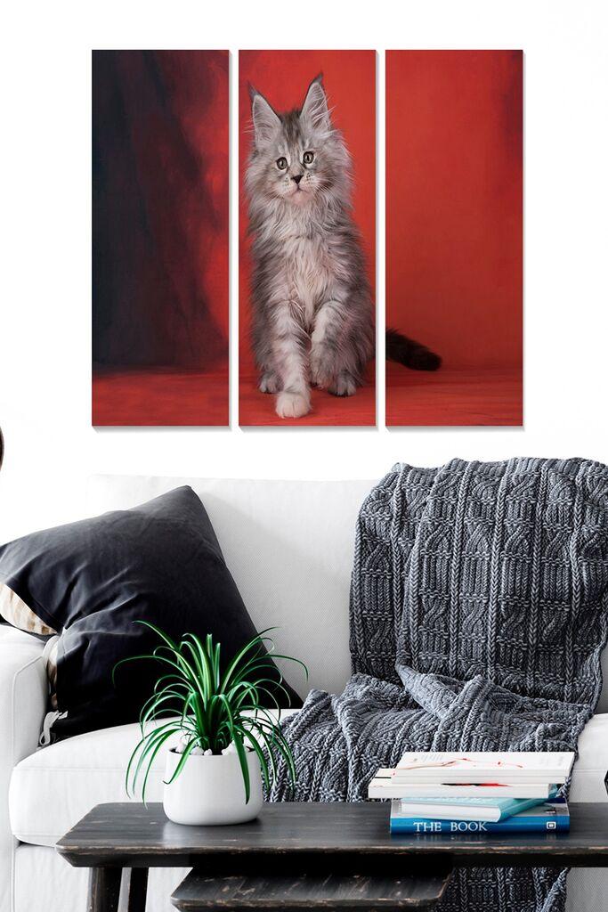 Wallity Сет Слики MDF6826958, 3 Дела
