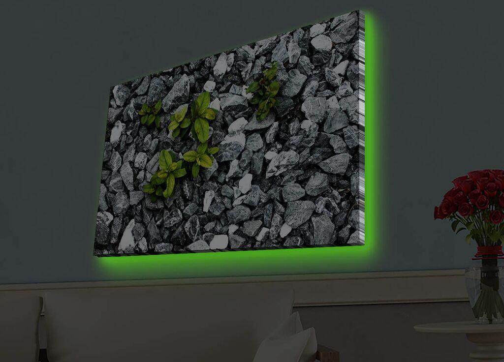 Wallity Слика со LED Осветлување Crazy Cat Love, 66x99 cm