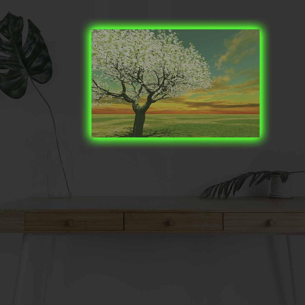 Wallity Слика BOYA-62, 45x45 cm