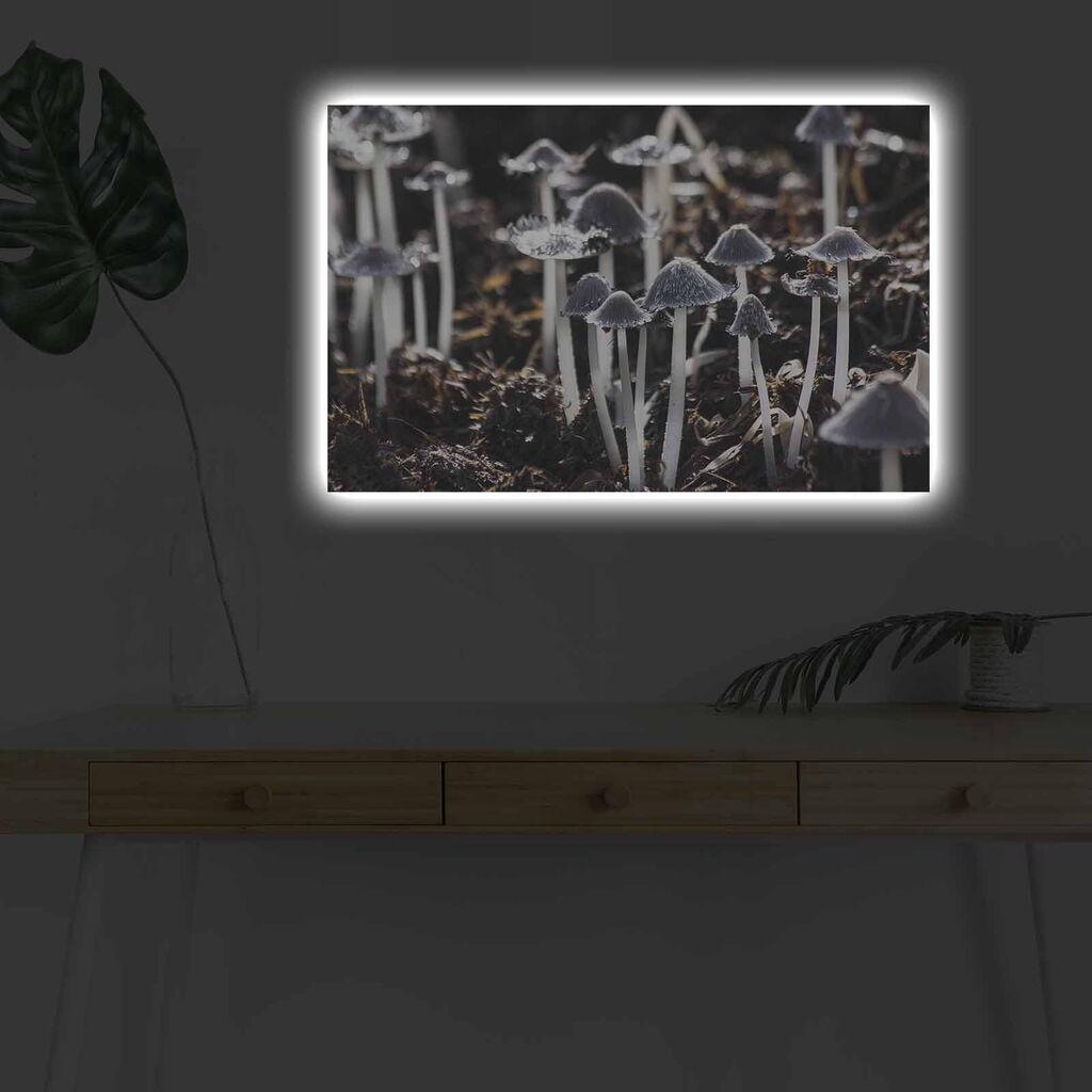 Wallity Слика BOYA-56, 45x45 cm