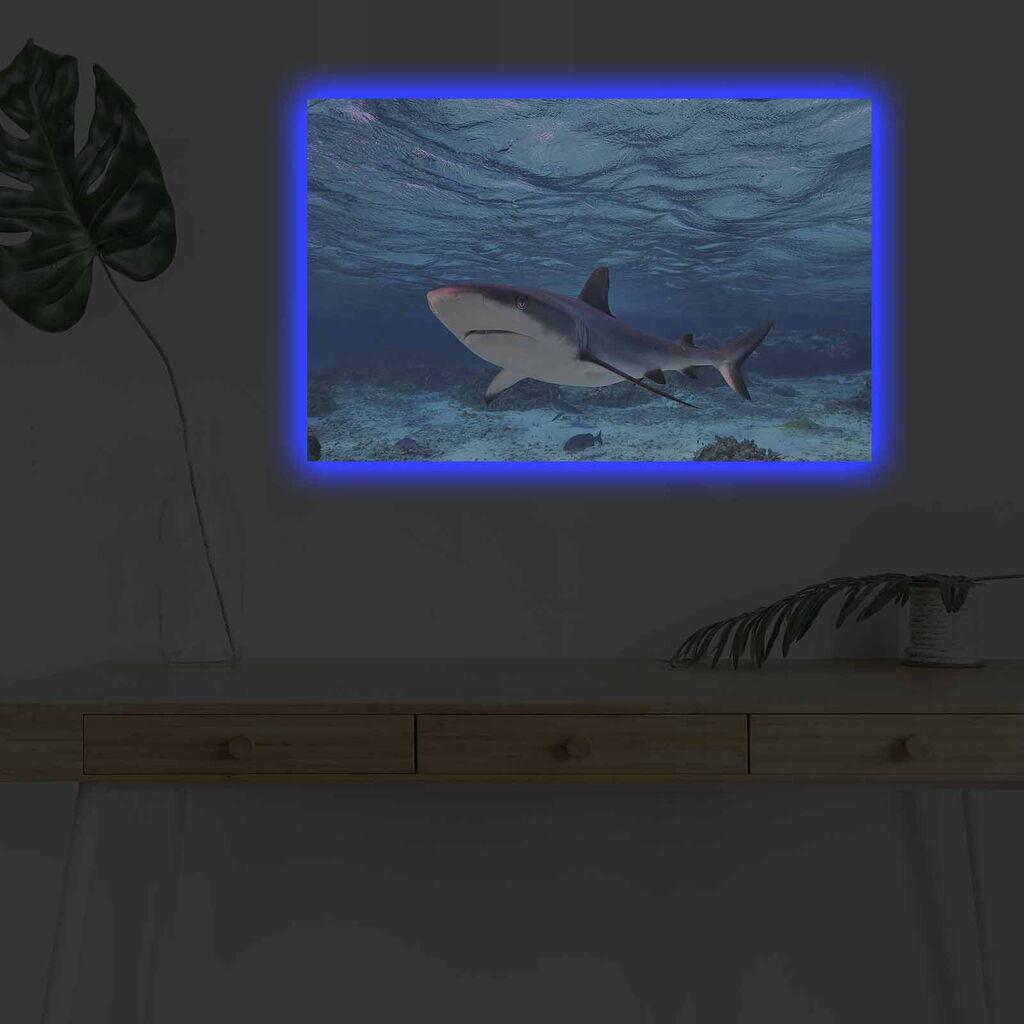 Wallity Слика BOYA-04, 45x45 cm
