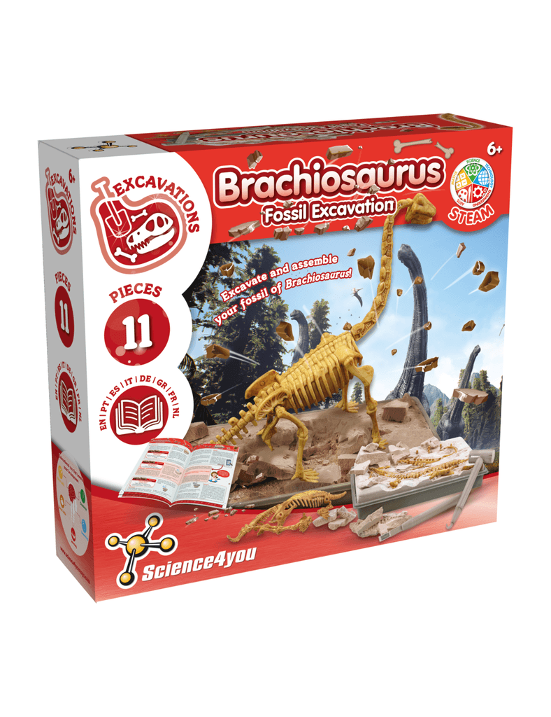 Science4You Едукативен Сет, Брахиосаурус