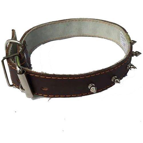 Ремче Кожно (Имитација) со Еден Ред Боцки 53cm.Х25Мм.