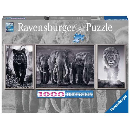 Ravensburger Panthers, Elephants, Lions Сложувалка