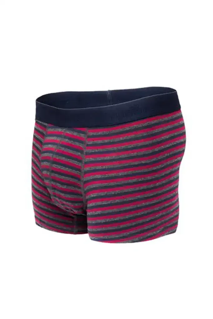 Tudors Боксерки