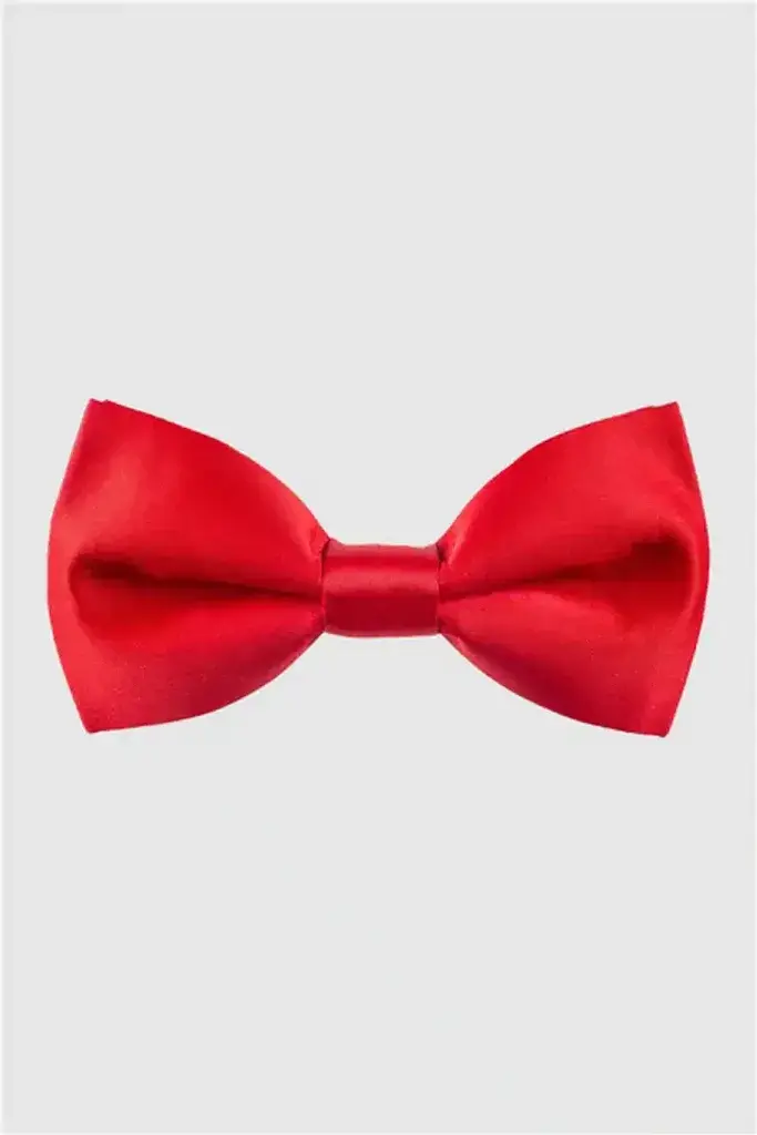 Tudors Лептир Машна