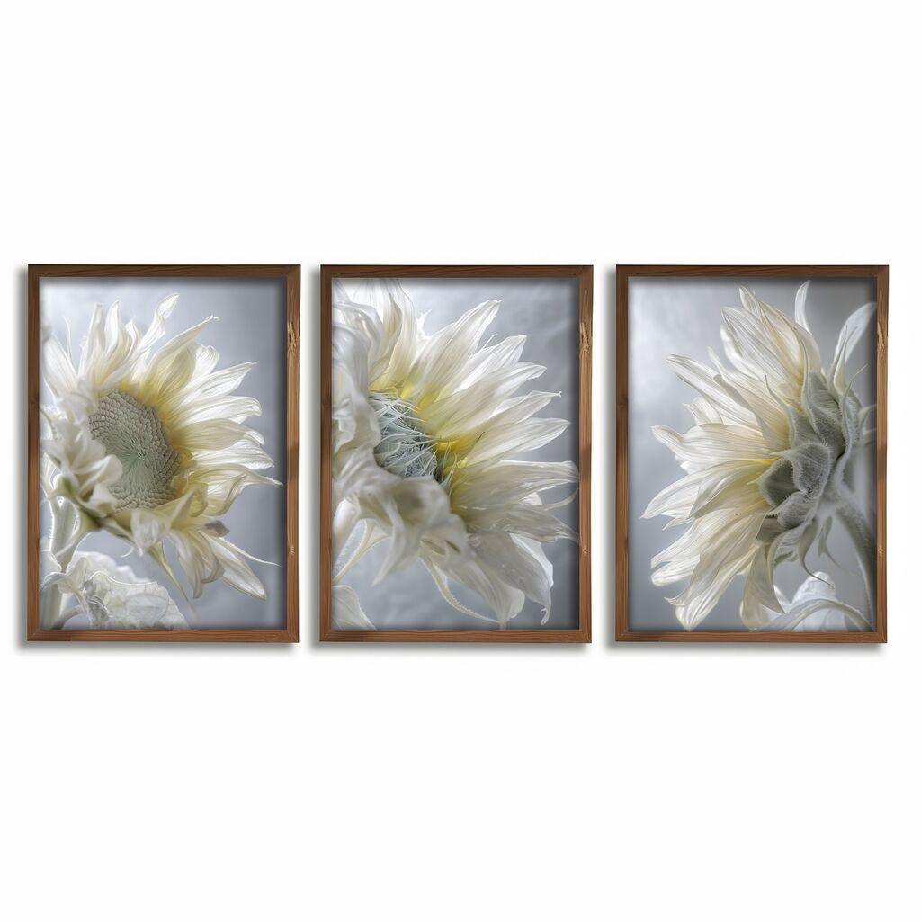 Wallity слика GE263, 3 дела, 35 x 47 см