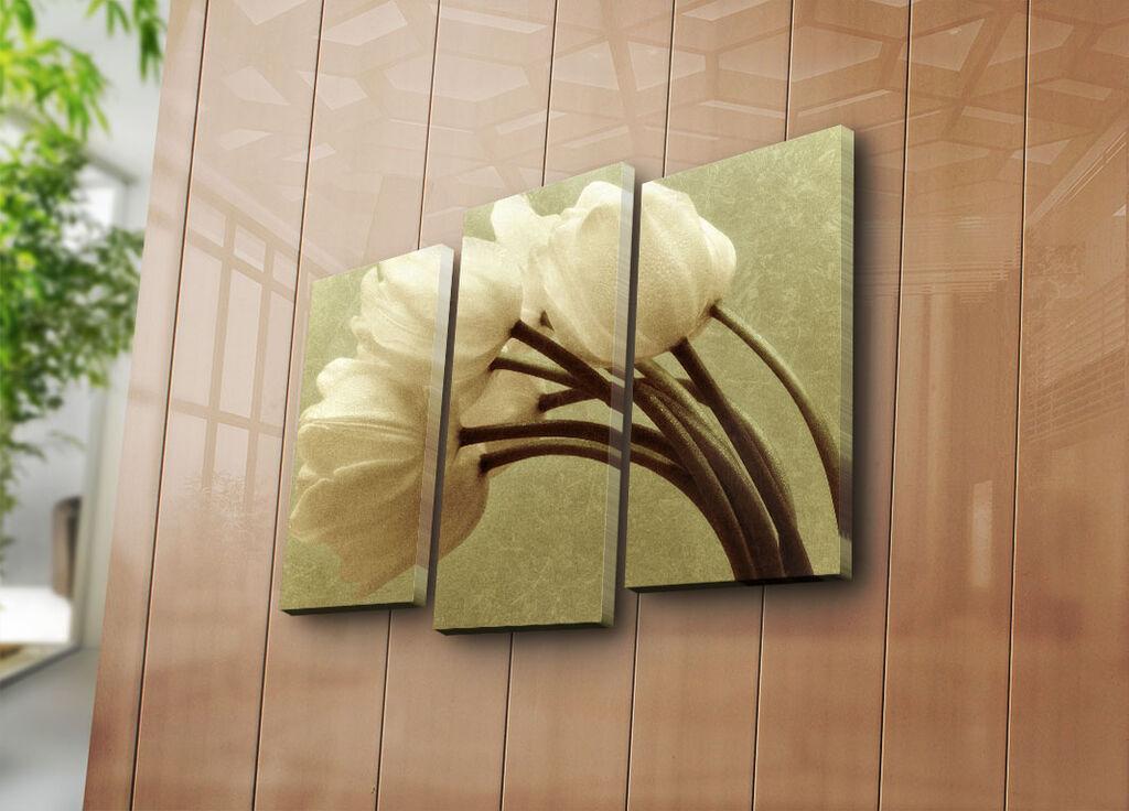 Wallity слика 3PATK-1, 45 x 66 см, 3 дела