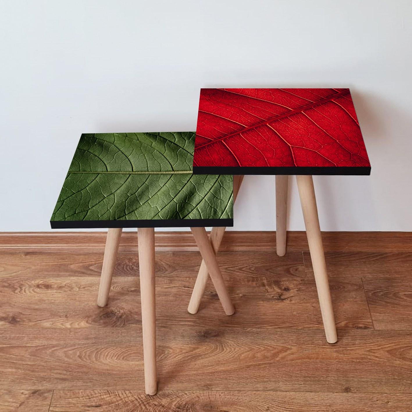 Комплет маса Hanah Home Club, 2 парчиња зелено-црвена