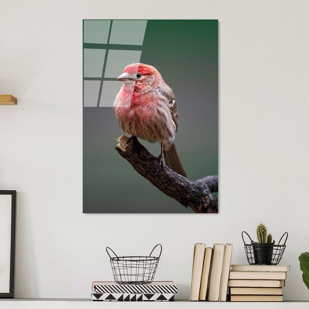 Wallity Image UV-300, 50 x 70 см