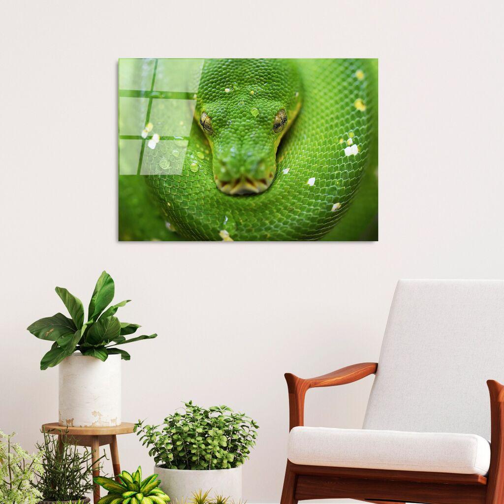 Wallity Image UV-287, 50 x 70 см