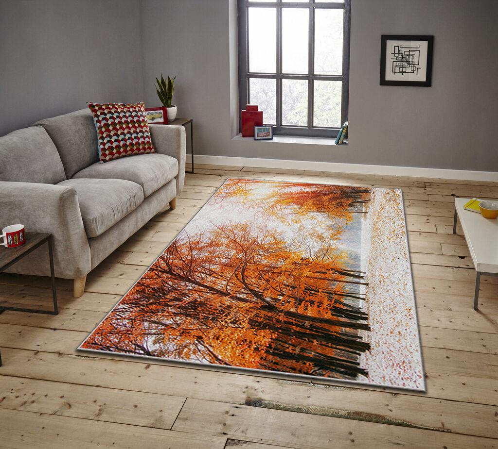 Conceptum Hypnose тепих Asr Crpt-12, правоаголен, 80x140 cm, Шарена
