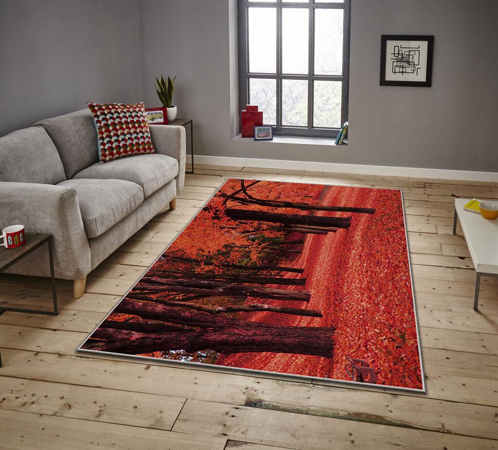 Conceptum Hypnose Carpet Asr Crpt-15, правоаголен, 80x140 cm, портокалова