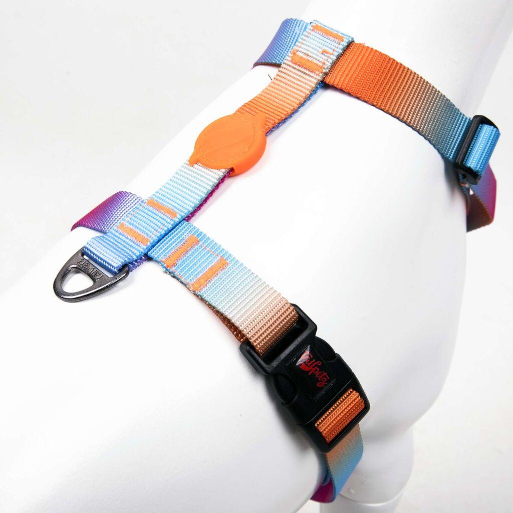 Шепи и мустаќи Am за кучиња Pass, шарени