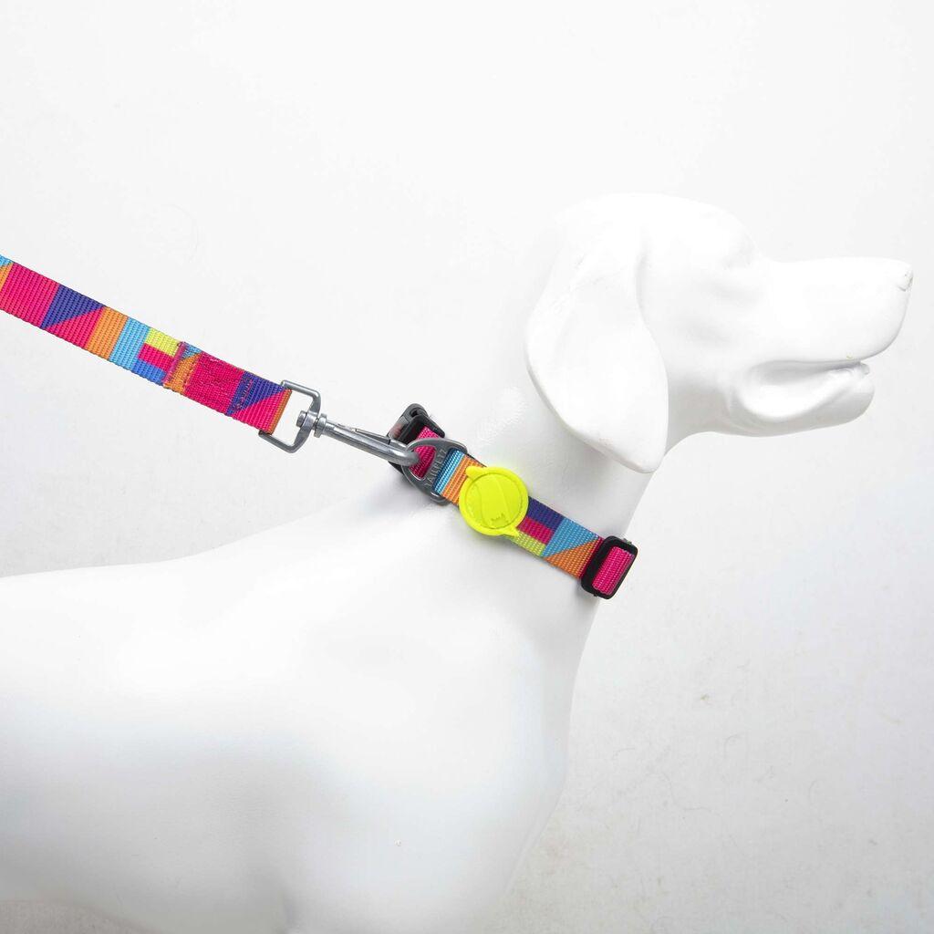 Поводник за кучиња „Шепи и мустаќи" „Спирит", мал, шарен