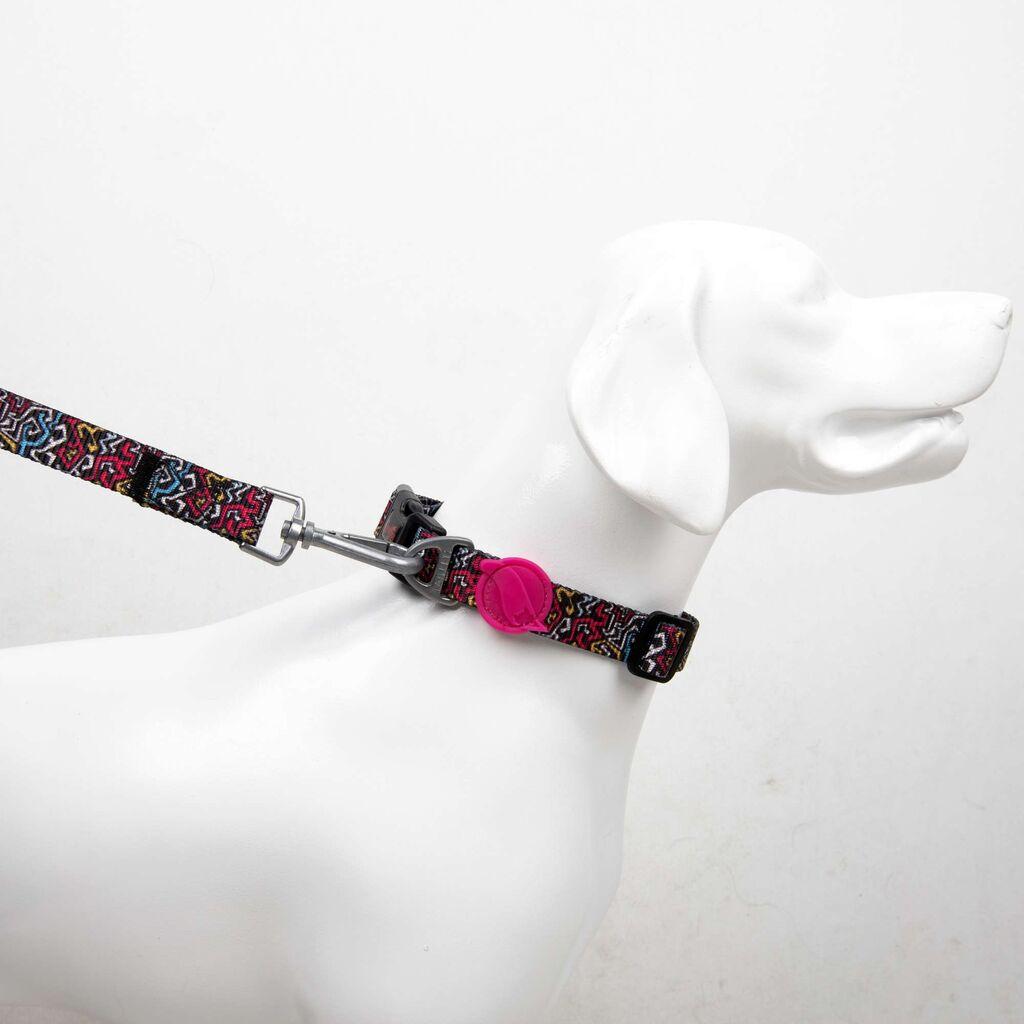 Графит за поводник за кучиња „Шепи и мустаќи" мал, шарен