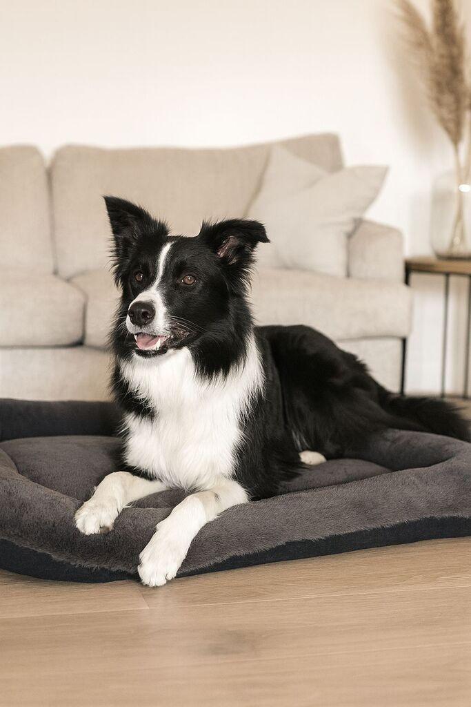 Кревет за миленичиња „Шепи и мустаќи" „Сали Дог", 55x75x8 см, антрацит