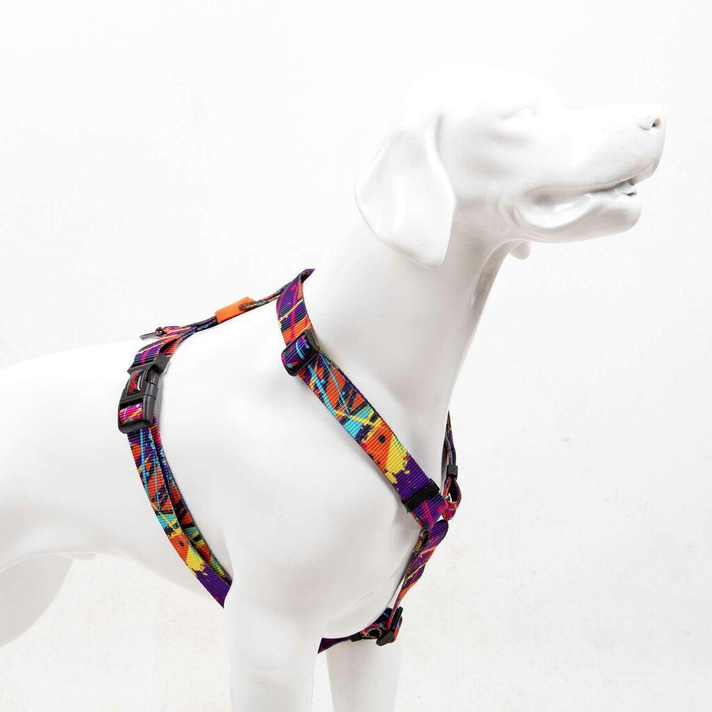 Шепи и мустаќи Am за кучиња Splash, шарени