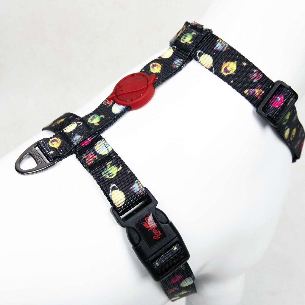 Шепи и мустаќи Am за кучиња вселенски, шарени