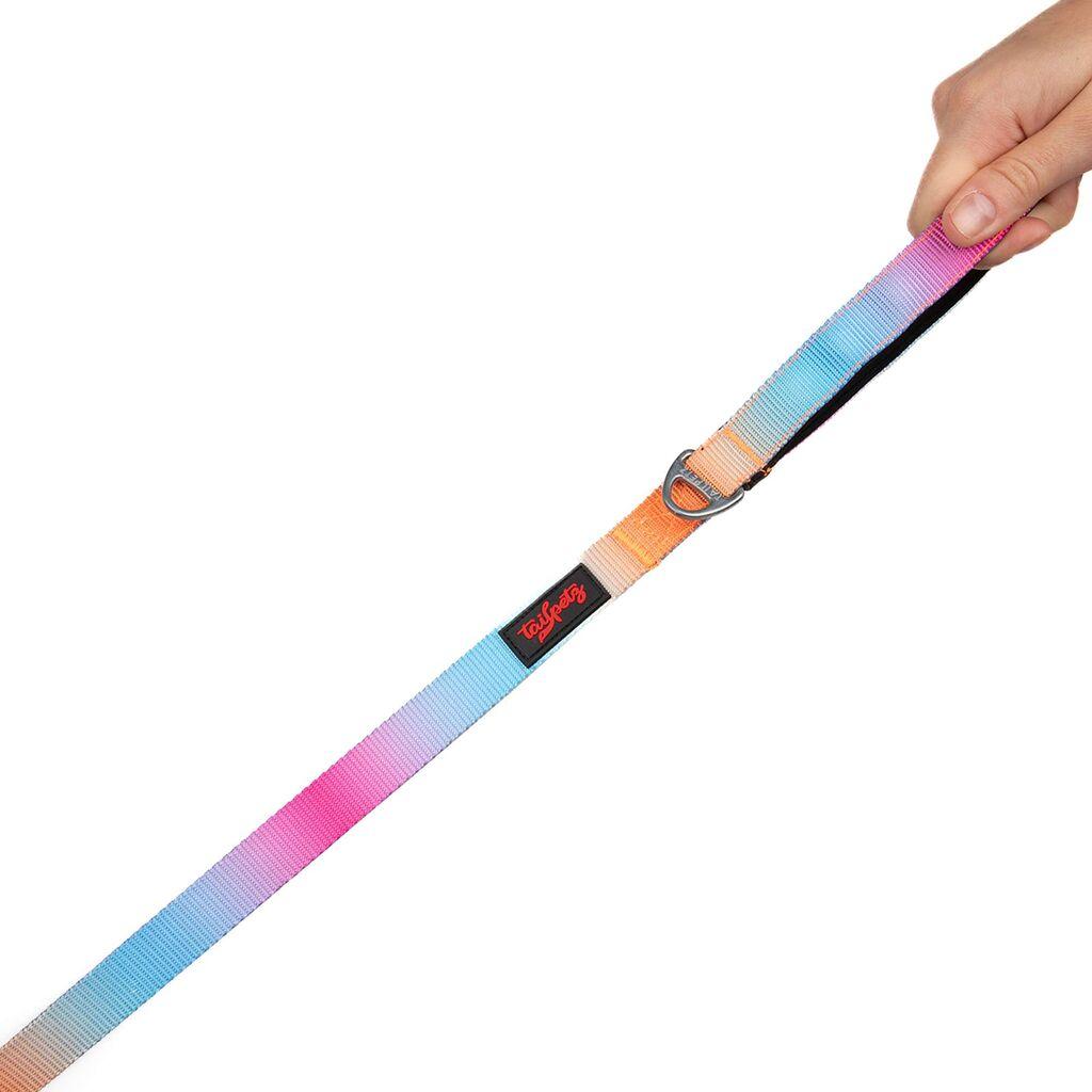 Поводник за шепи и мустаќи за кучиња Pass Medium, шарен