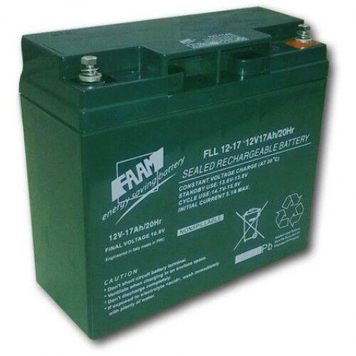 FAAM Italy Акумулатор BATTERY 12V 18 Ah