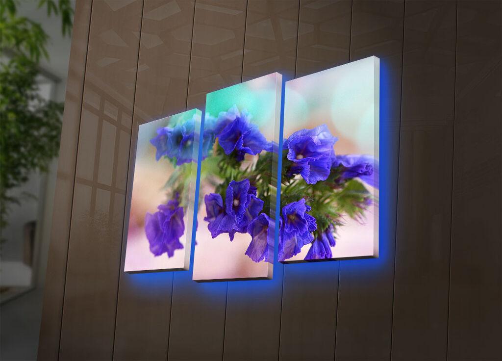 Wallity Сет Слики 5MDF4517, 5 Делови