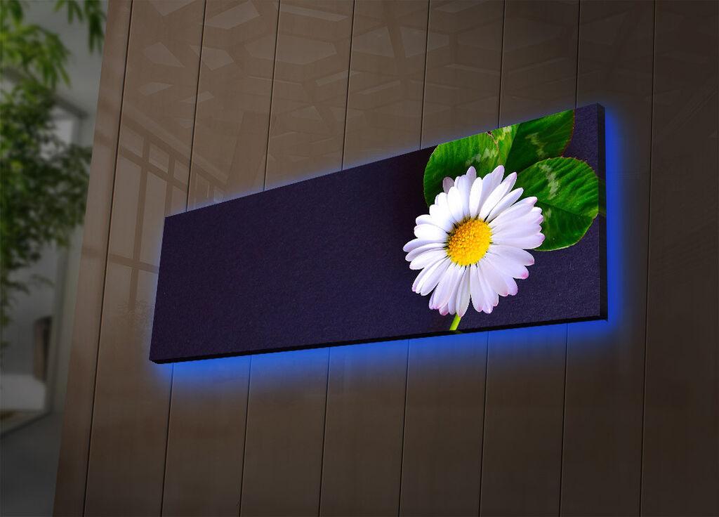 Wallity Слика со LED Осветлување 4570DACTBURN-010, 45x70 cm