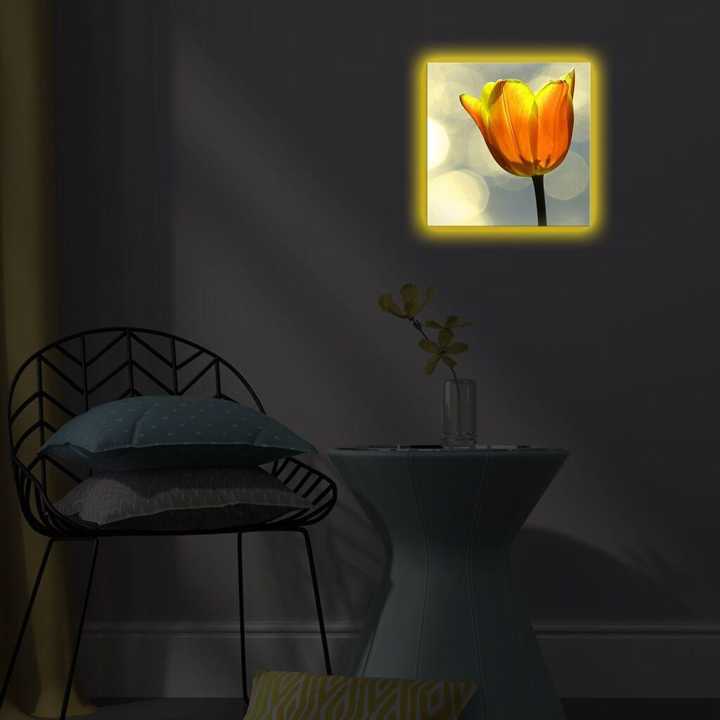 Wallity Слика 221JRS1129, 60x90 cm