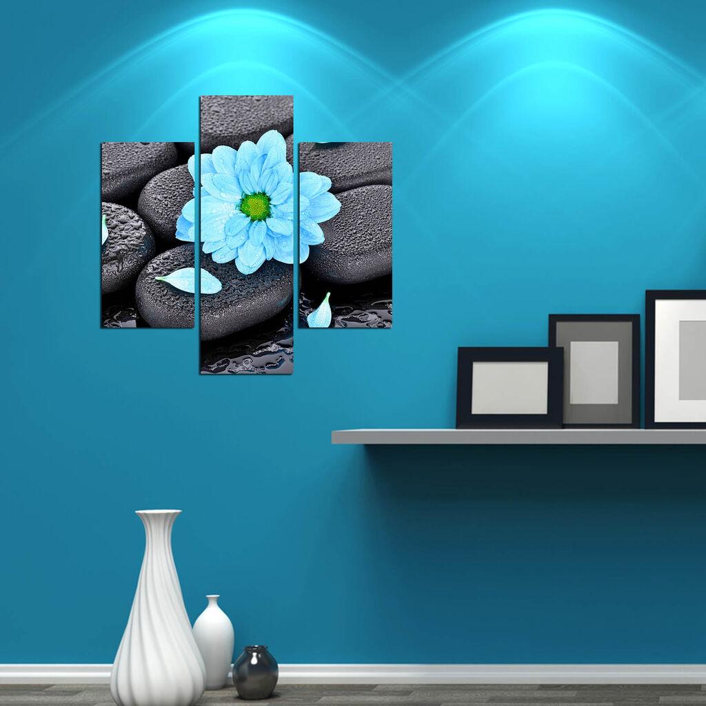 Wallity Сет Слики 5ABSMDF-48, 5 Делови