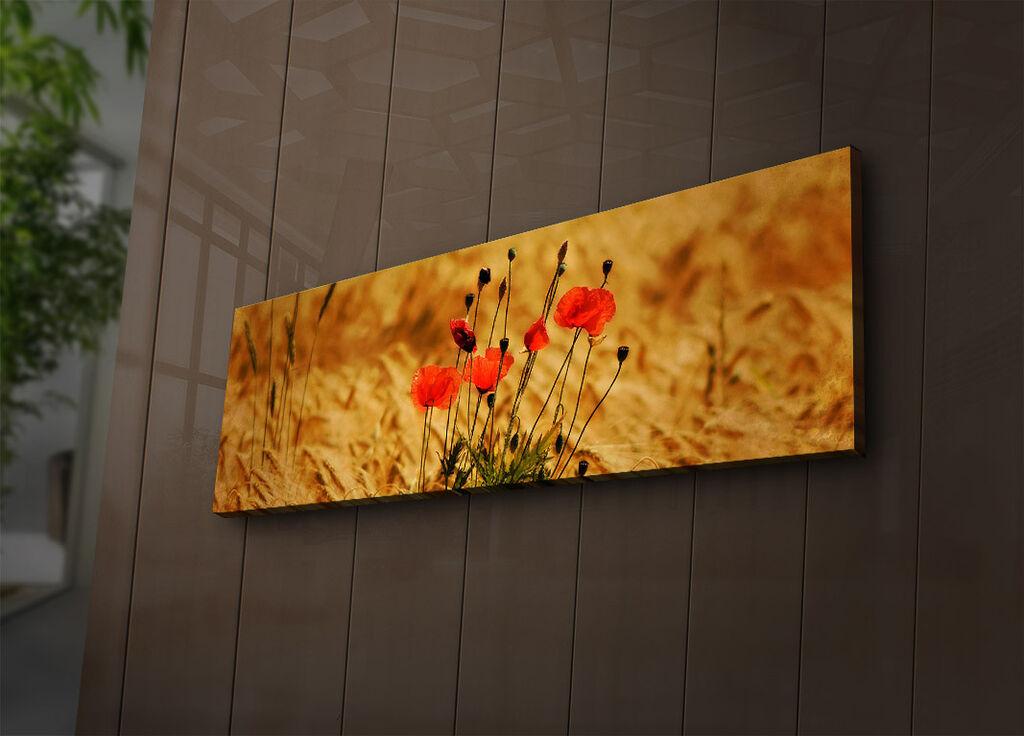 Wallity Слика со LED Осветлување 4570DHDACT-072, 45x70 cm