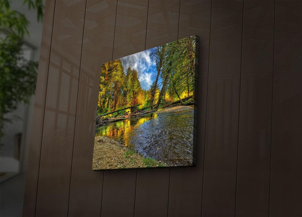 Wallity Слика со LED Осветлување 4570DACT-12, 45x70 cm