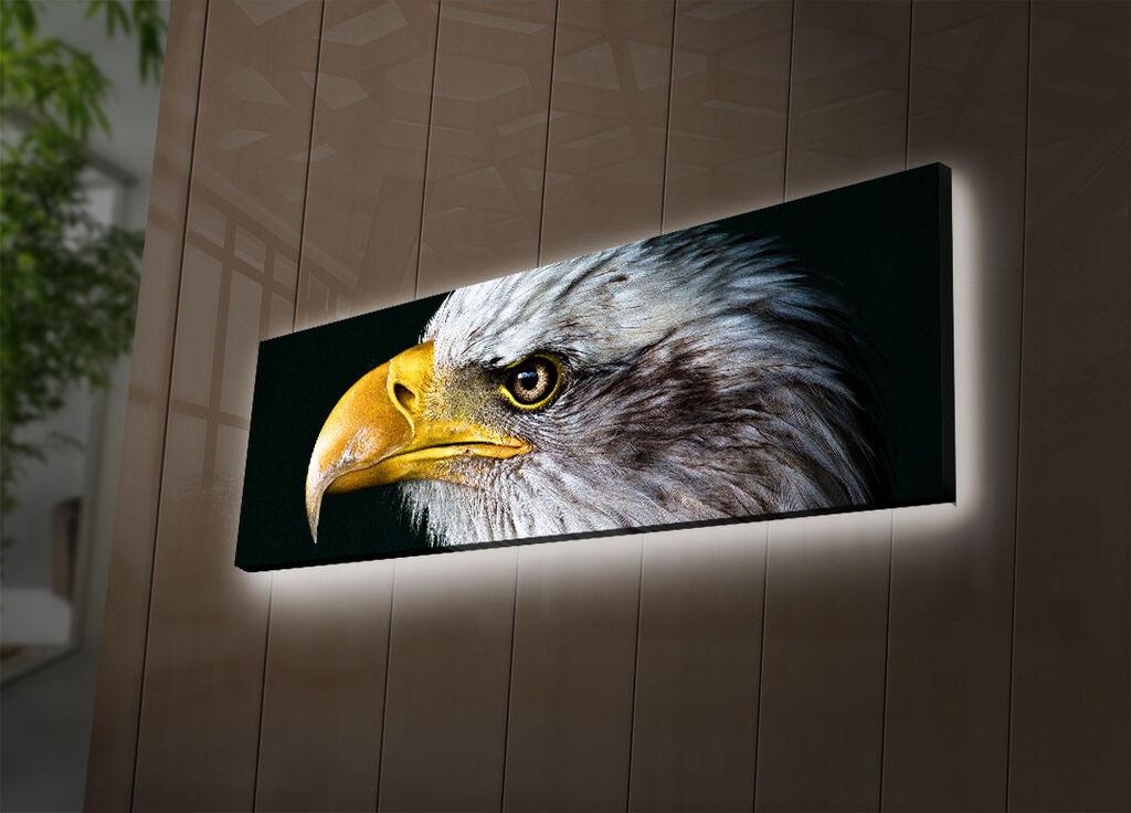 Wallity Слика со LED Осветлување 4570DHDACT-003, 45x70 cm