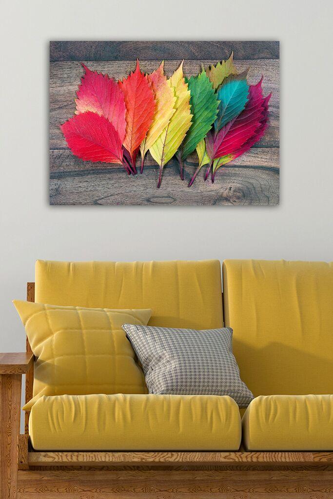 Wallity Сет Слики во Рамка 3SC_UN383108 , 3 Дела